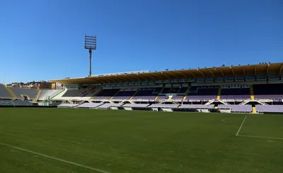 Стадион во Флоренции — Firenze, stadio artemio franchi, campo da gioco, 05